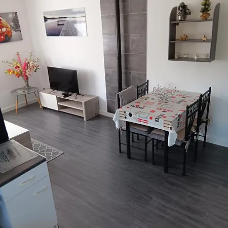 Apartamento Spacieux Wifi Stationnement Gratuit Petite Terrasse (adults Only) Claira